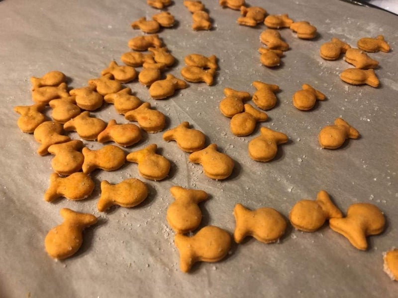 CookieCutter.com Mini Tiny Fish Cookie Cutter, Goldfish Cracker Multi x5 (2 Pack) - Fun, Baking, Dough, and Fondant Cutter For Kids, Baked Fish-Shaped Maker - Image 2